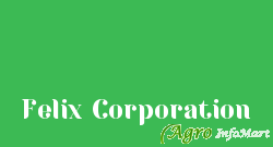 Felix Corporation ahmedabad india