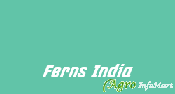 Ferns India