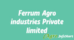 Ferrum Agro industries Private limited. ahmedabad india