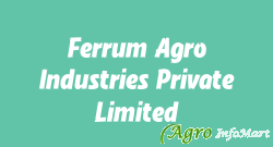 Ferrum Agro Industries Private Limited ahmedabad india