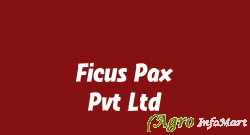 Ficus Pax Pvt Ltd pune india