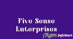 Five Sense Enterprises