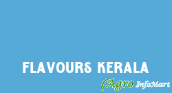 Flavours Kerala idukki india