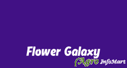 Flower Galaxy