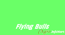 Flying Bulls mumbai india