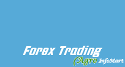 Forex Trading ahmedabad india