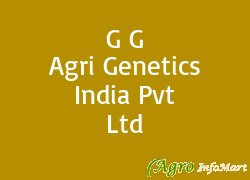 G G Agri Genetics India Pvt Ltd vadodara india