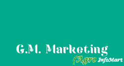 G.M. Marketing chandigarh india