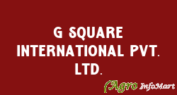 G Square International Pvt. Ltd.