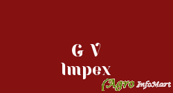 G V Impex