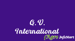 G. V. International