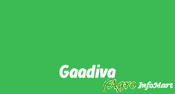 Gaadiva