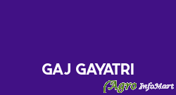 Gaj Gayatri