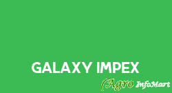 Galaxy Impex jaipur india