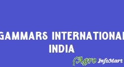 Gammars International India mumbai india