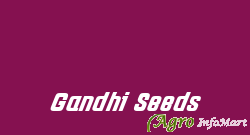 Gandhi Seeds anand india