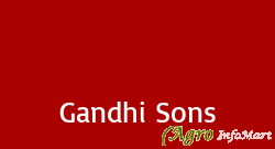 Gandhi Sons