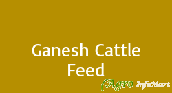 Ganesh Cattle Feed