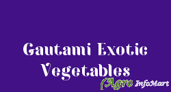 Gautami Exotic Vegetables