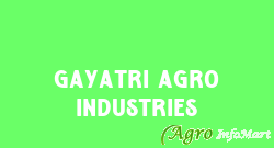 Gayatri Agro Industries valsad india