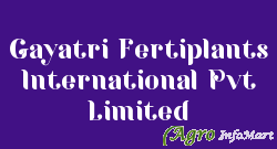 Gayatri Fertiplants International Pvt Limited