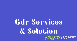 Gdr Services & Solution
