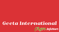 Geeta International jaipur india