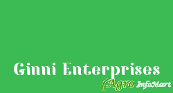 Ginni Enterprises