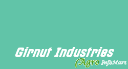 Girnut Industries junagadh india
