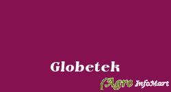 Globetek bangalore india