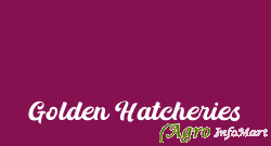Golden Hatcheries bangalore india