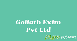 Goliath Exim Pvt Ltd amritsar india