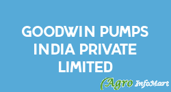 Goodwin Pumps India Private Limited