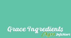 Grace Ingredients chennai india