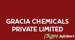Gracia Chemicals Private Limited vapi india