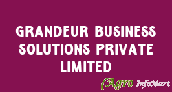 Grandeur Business Solutions Private Limited delhi india