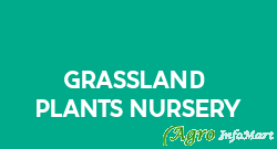GrassLand & Plants Nursery