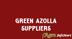 Green Azolla Suppliers