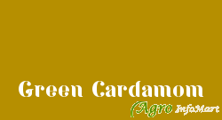 Green Cardamom chennai india