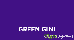 Green Gini