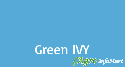 Green IVY
