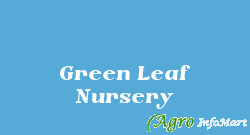Green Leaf Nursery mumbai india