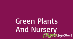 Green Plants And Nursery