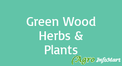 Green Wood Herbs & Plants