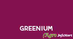 Greenium delhi india