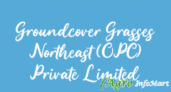 Groundcover Grasses Northeast (OPC) Private Limited