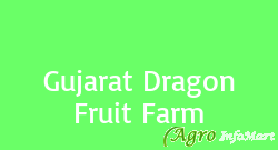 Gujarat Dragon Fruit Farm jamnagar india
