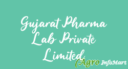 Gujarat Pharma Lab Private Limited ahmedabad india