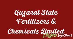 Gujarat State Fertilizers & Chemicals Limited vadodara india