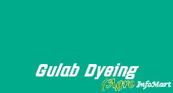 Gulab Dyeing